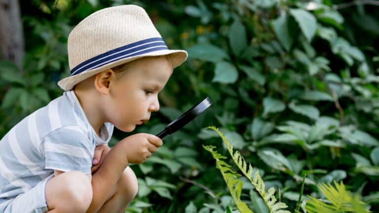 The young boy holds a magnifying glass up to a Fern